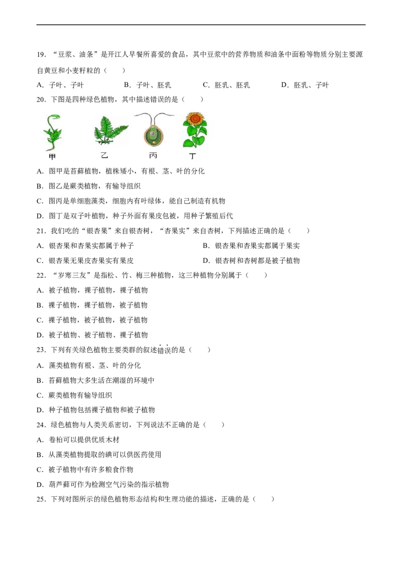 专题04生物圈中有哪些绿色植物（习题精练）（原卷版）_6生物中考复习_2024年中考复习资料_一轮复习资料_省心备考2024年中考生物一轮复习精讲精练（全国通用）