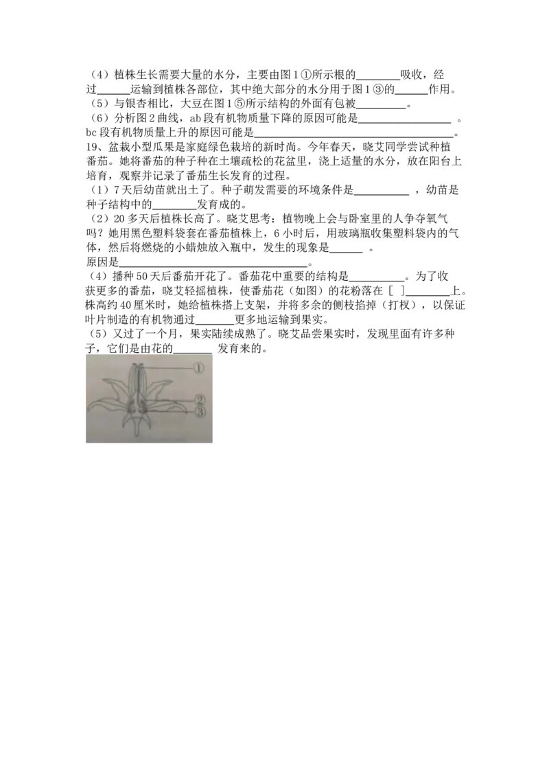 专题06生物圈中有哪些绿色植物及种子的萌发（原卷版）_6生物中考复习_2024年中考复习资料_一轮复习资料_完精准复习课件精讲ppt+习题精练备战2024年中考生物一轮复习全考点通关