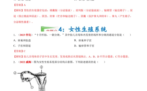 专题05&nbsp;人的由来（解析版）_6生物中考复习_2024年中考复习资料_专项复习资料_完三年（2021-2023）中考生物真题分项汇编（全国通用）_答案解析版