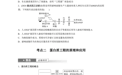 第十单元　第62课时　基因工程的应用、蛋白质工程、DNA的两个重要实验_新高考复习资料_2025年新高考资料_2025新高考一轮复习生物_2025大一轮复习讲义