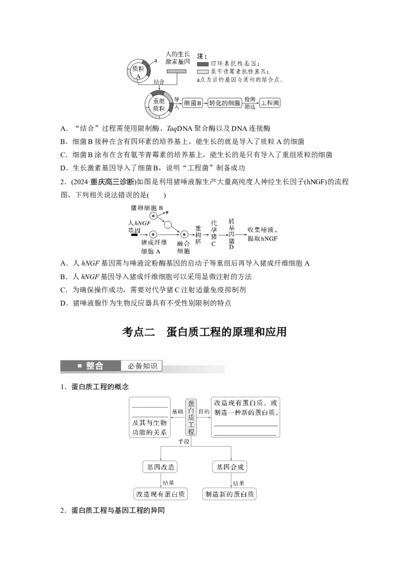 第十单元　第62课时　基因工程的应用、蛋白质工程、DNA的两个重要实验_新高考复习资料_2025年新高考资料_2025新高考一轮复习生物_2025大一轮复习讲义
