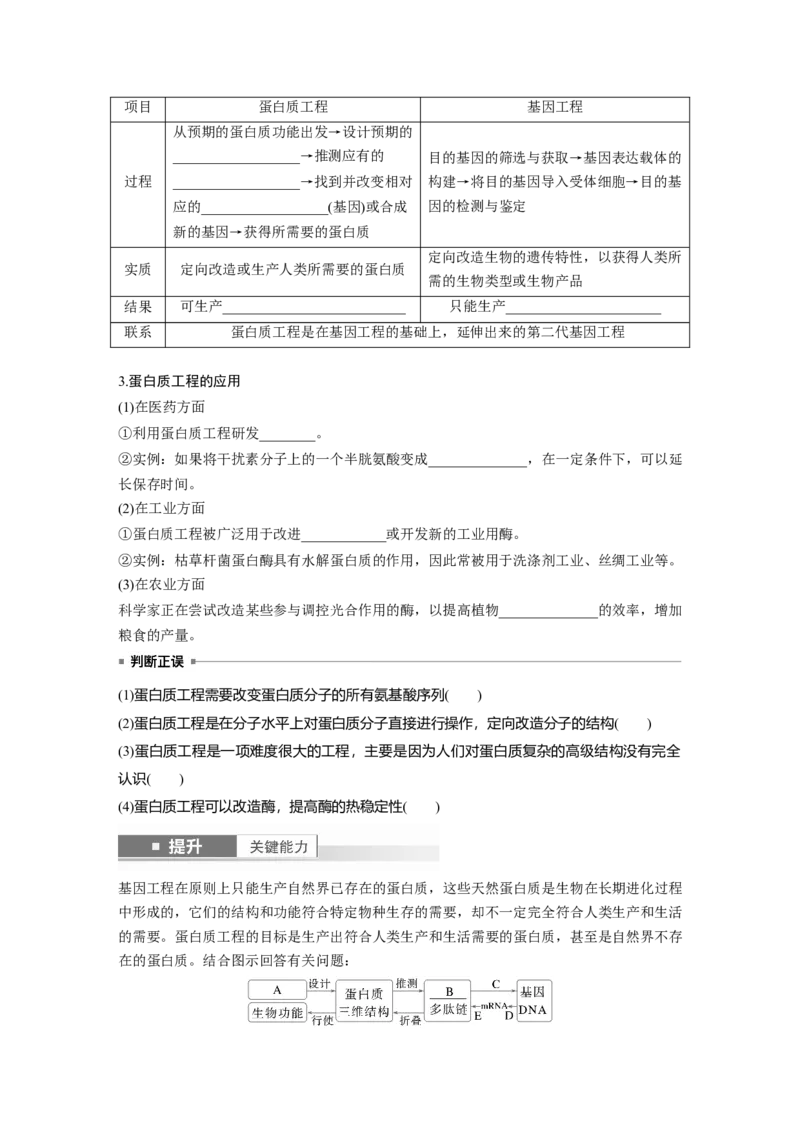 第十单元　第62课时　基因工程的应用、蛋白质工程、DNA的两个重要实验_新高考复习资料_2025年新高考资料_2025新高考一轮复习生物_2025大一轮复习讲义