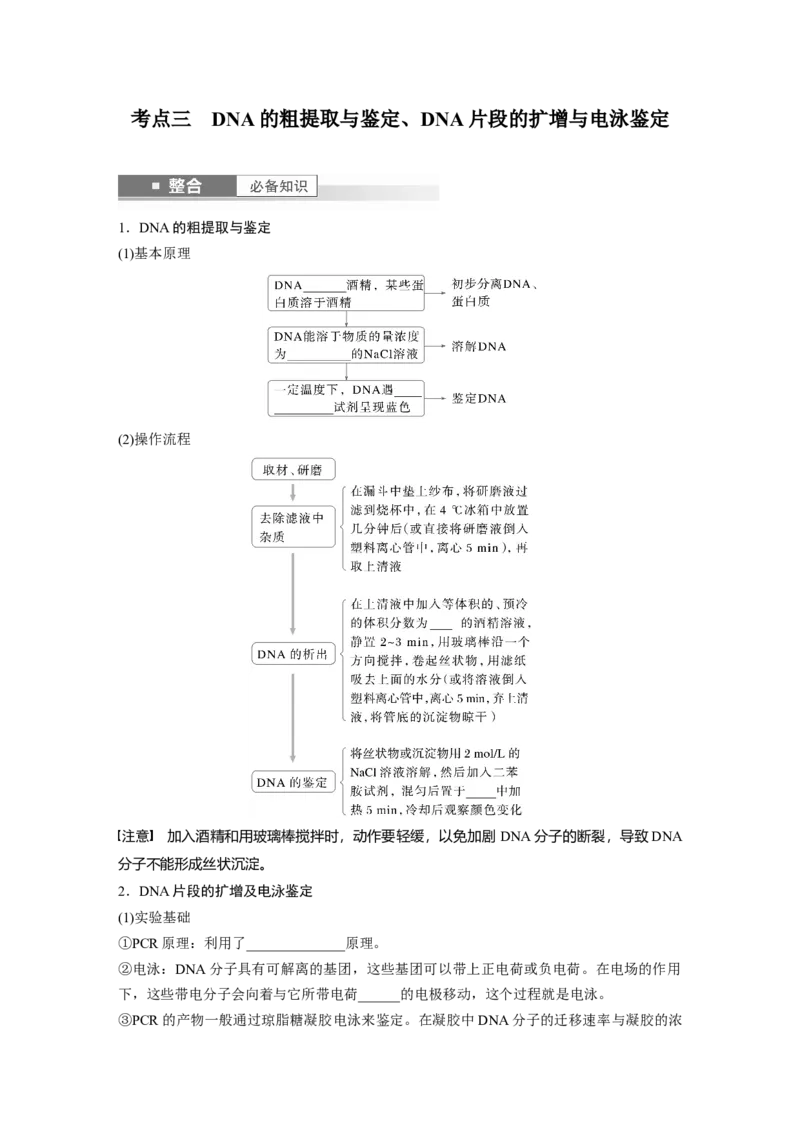 第十单元　第62课时　基因工程的应用、蛋白质工程、DNA的两个重要实验_新高考复习资料_2025年新高考资料_2025新高考一轮复习生物_2025大一轮复习讲义