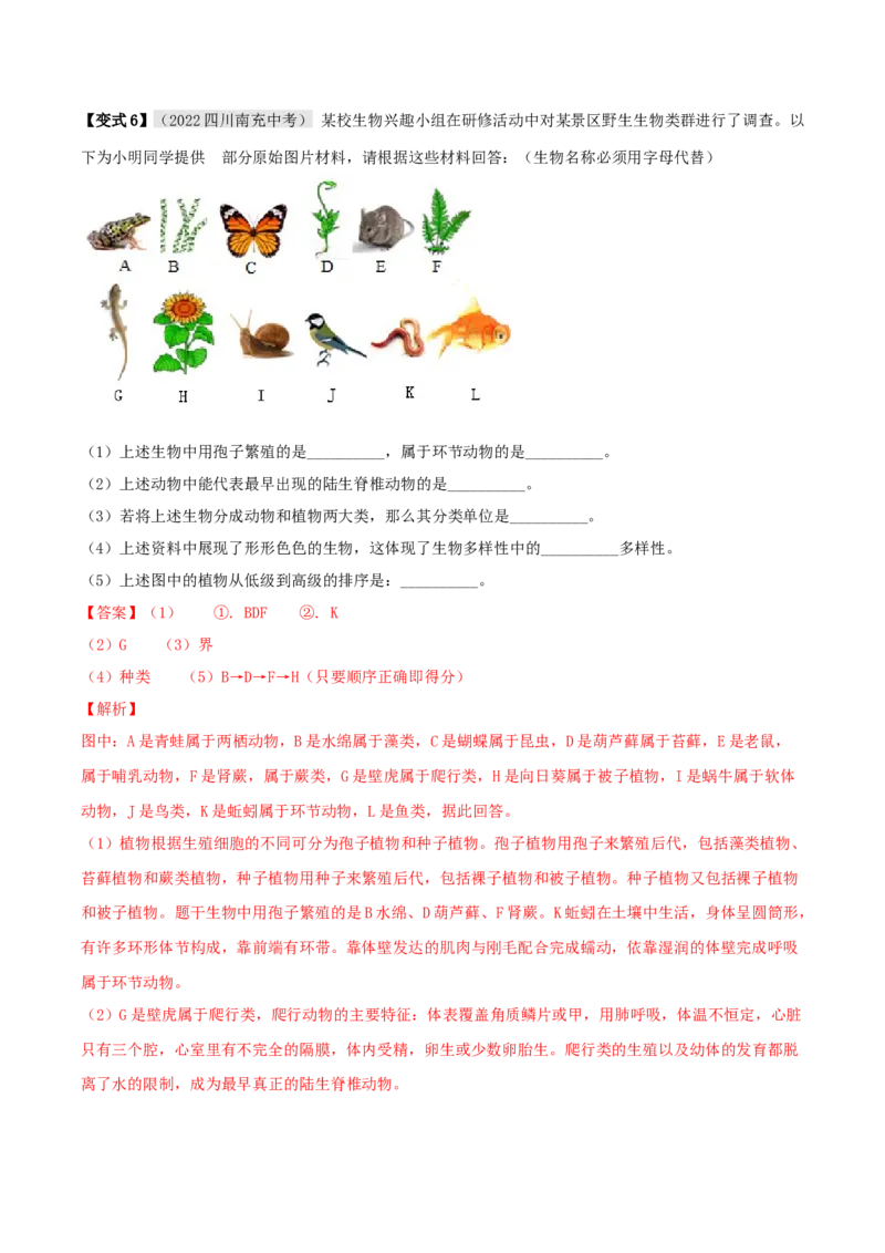 专题03生物的特征及分类（解析版）_6生物中考复习_2023年中考复习资料_专项复习_2023年中考生物总复习真题探究与变式训练（全国通用）