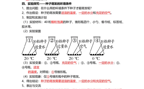 专题05被子植物的一生（背记帮）-备战2024年中考生物一轮复习考点帮_6生物中考复习_2024年中考复习资料_一轮复习资料_❤备战2024年中考生物一轮复习考点帮（全国通用）_必背考点