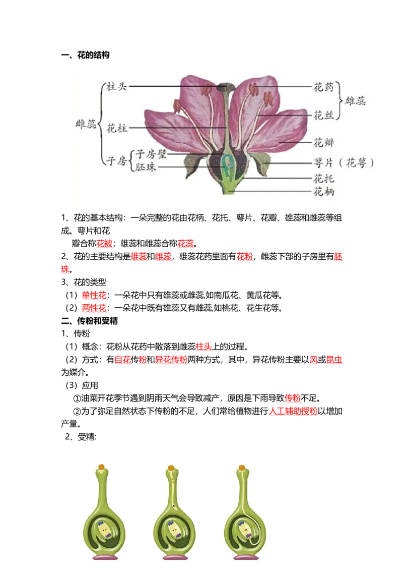 专题05被子植物的一生（背记帮）-备战2024年中考生物一轮复习考点帮_6生物中考复习_2024年中考复习资料_一轮复习资料_❤备战2024年中考生物一轮复习考点帮（全国通用）_必背考点