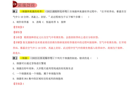 专题05生物圈中的微生物（解析版）_6生物中考复习_2023年中考复习资料_专项复习_2023年中考生物总复习真题探究与变式训练（全国通用）