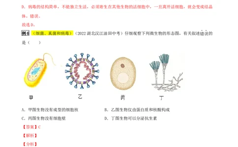 专题05生物圈中的微生物（解析版）_6生物中考复习_2023年中考复习资料_专项复习_2023年中考生物总复习真题探究与变式训练（全国通用）