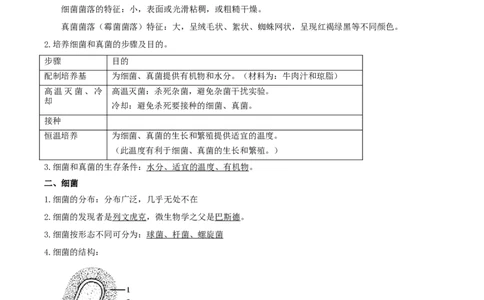 专题05生物圈中的微生物（解析版）_6生物中考复习_2023年中考复习资料_专项复习_2023年中考生物总复习真题探究与变式训练（全国通用）