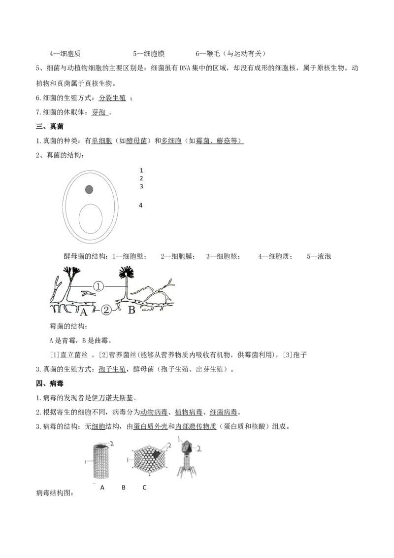 专题05生物圈中的微生物（解析版）_6生物中考复习_2023年中考复习资料_专项复习_2023年中考生物总复习真题探究与变式训练（全国通用）