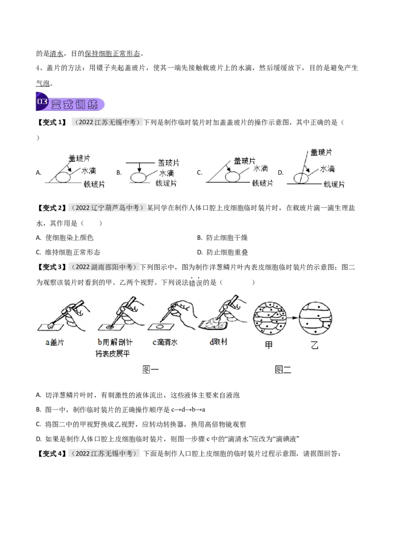 专题01细胞是生命活动的基本单位（原卷版）_6生物中考复习_2023年中考复习资料_专项复习_2023年中考生物总复习真题探究与变式训练（全国通用）