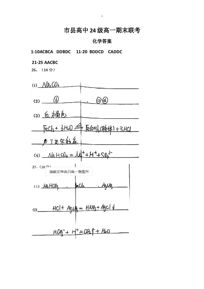 答案_2025年02月试卷_0202四川省眉山市2024-2025学年高一上学期1月期末联考试题_四川省眉山市2024-2025学年高一上学期1月期末联考试题化学PDF版含答案