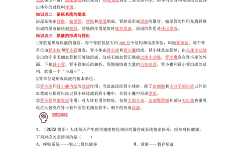 专题04生物圈中的人（三）背诵清单+跟踪训练（学生版）_6生物中考复习_2023年中考复习资料_一轮复习_2023年中考生物一轮大单元复习过过过（全国通用）
