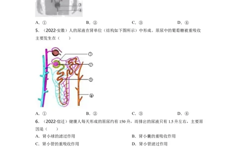 专题04生物圈中的人（三）背诵清单+跟踪训练（学生版）_6生物中考复习_2023年中考复习资料_一轮复习_2023年中考生物一轮大单元复习过过过（全国通用）