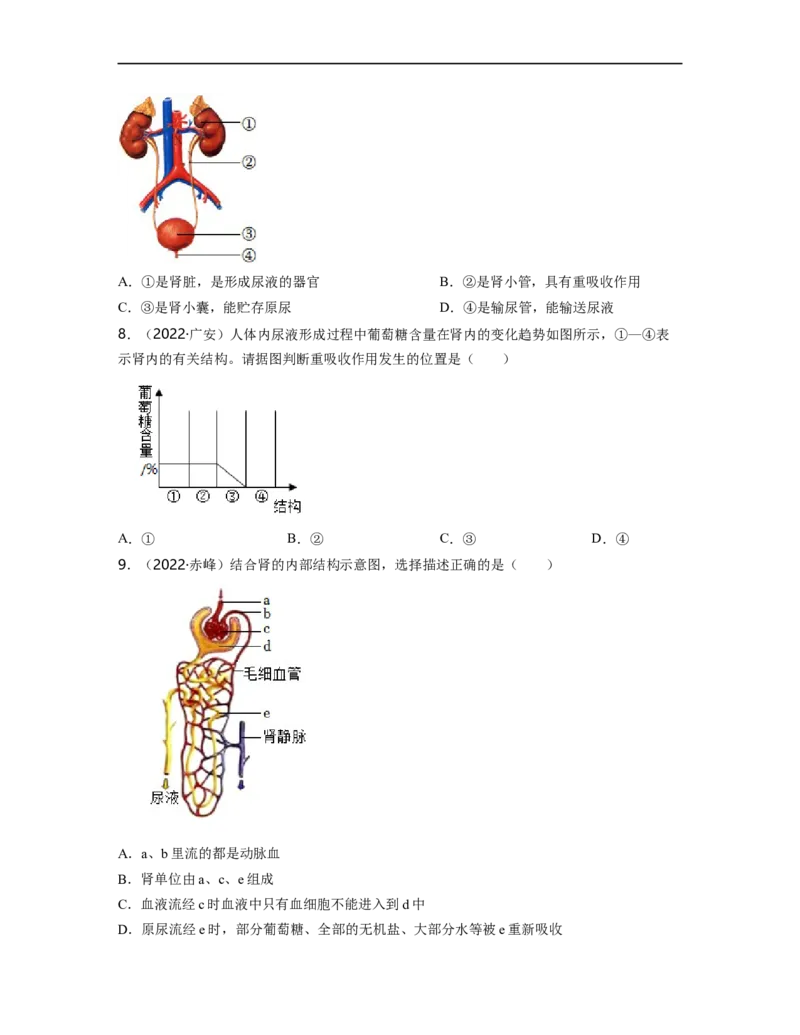 专题04生物圈中的人（三）背诵清单+跟踪训练（学生版）_6生物中考复习_2023年中考复习资料_一轮复习_2023年中考生物一轮大单元复习过过过（全国通用）