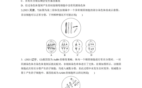 第四单元课时练22减数分裂与有丝分裂的比较及观察蝗虫精母细胞减数分裂装片_2025年新高考资料_一轮复习_2025大一轮复习讲义+课件（完结）_2025一轮复习73练