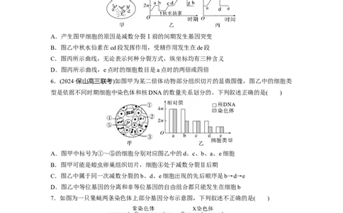 第四单元课时练22减数分裂与有丝分裂的比较及观察蝗虫精母细胞减数分裂装片_2025年新高考资料_一轮复习_2025大一轮复习讲义+课件（完结）_2025一轮复习73练
