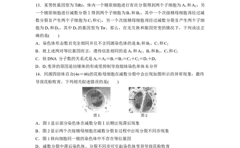 第四单元课时练22减数分裂与有丝分裂的比较及观察蝗虫精母细胞减数分裂装片_2025年新高考资料_一轮复习_2025大一轮复习讲义+课件（完结）_2025一轮复习73练