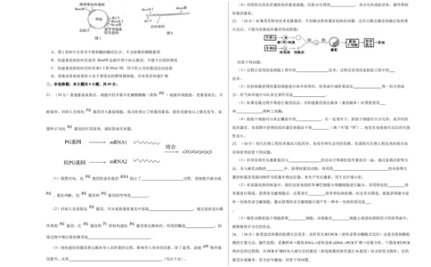 第十四单元基因工程及生物技术的安全性与伦理问题（A卷新题基础练）-2023年高考生物一轮复习单元滚动双测卷（新高考专用）（考试版）_新高考复习资料_2023年新高考复习资料