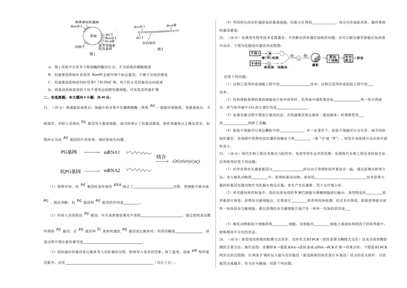 第十四单元基因工程及生物技术的安全性与伦理问题（A卷新题基础练）-2023年高考生物一轮复习单元滚动双测卷（新高考专用）（考试版）_新高考复习资料_2023年新高考复习资料