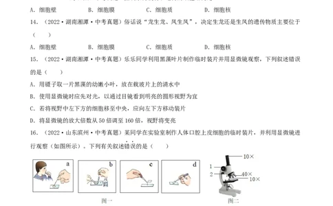 专题02细胞是生命活动的基本单位（习题帮）（原卷版）_6生物中考复习_2023年中考复习资料_一轮复习_备战2023年中考生物一轮复习考点帮（全国通用）288506454