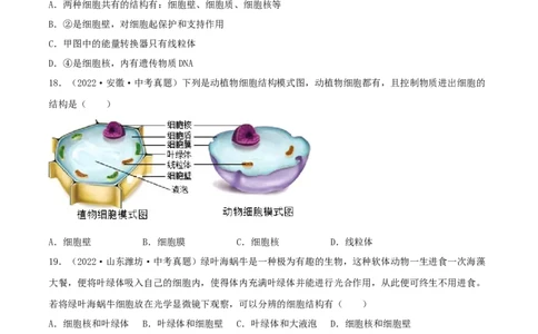 专题02细胞是生命活动的基本单位（习题帮）（原卷版）_6生物中考复习_2023年中考复习资料_一轮复习_备战2023年中考生物一轮复习考点帮（全国通用）288506454
