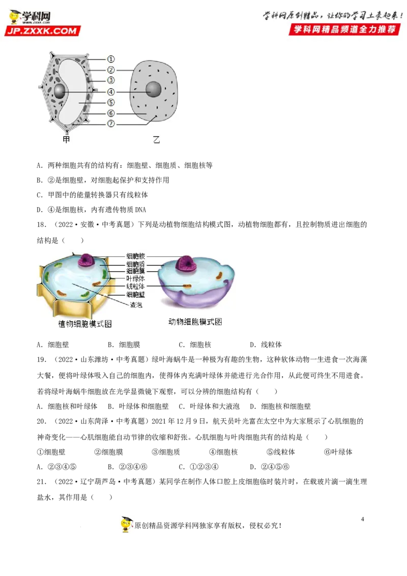 专题02细胞是生命活动的基本单位（习题帮）（原卷版）_6生物中考复习_2023年中考复习资料_一轮复习_备战2023年中考生物一轮复习考点帮（全国通用）288506454