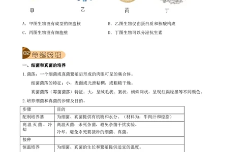 专题05生物圈中的微生物（原卷版）_6生物中考复习_2023年中考复习资料_专项复习_2023年中考生物总复习真题探究与变式训练（全国通用）
