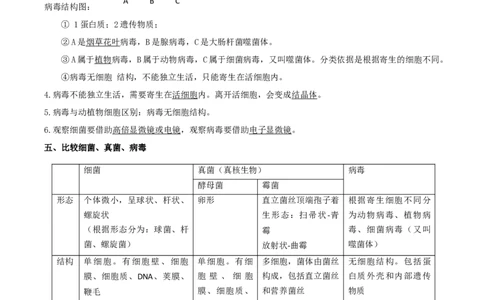专题05生物圈中的微生物（原卷版）_6生物中考复习_2023年中考复习资料_专项复习_2023年中考生物总复习真题探究与变式训练（全国通用）