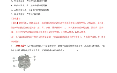 专题06&nbsp;人体的营养和呼吸（解析版）_6生物中考复习_2024年中考复习资料_专项复习资料_完三年（2021-2023）中考生物真题分项汇编（全国通用）_答案解析版