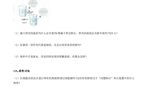 第四章细胞的物质输入和输出-查漏补缺2023年高考生物一轮复习教材必背细节与旁栏思考梳理汇总（新教材）（填空版）_新高考复习资料_2023年新高考复习资料_一轮复习