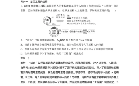 第十单元　第62课时　基因工程的应用、蛋白质工程、DNA的两个重要实验_新高考复习资料_2025年新高考资料_2025新高考一轮复习生物_配套Word版文档第七~十单元