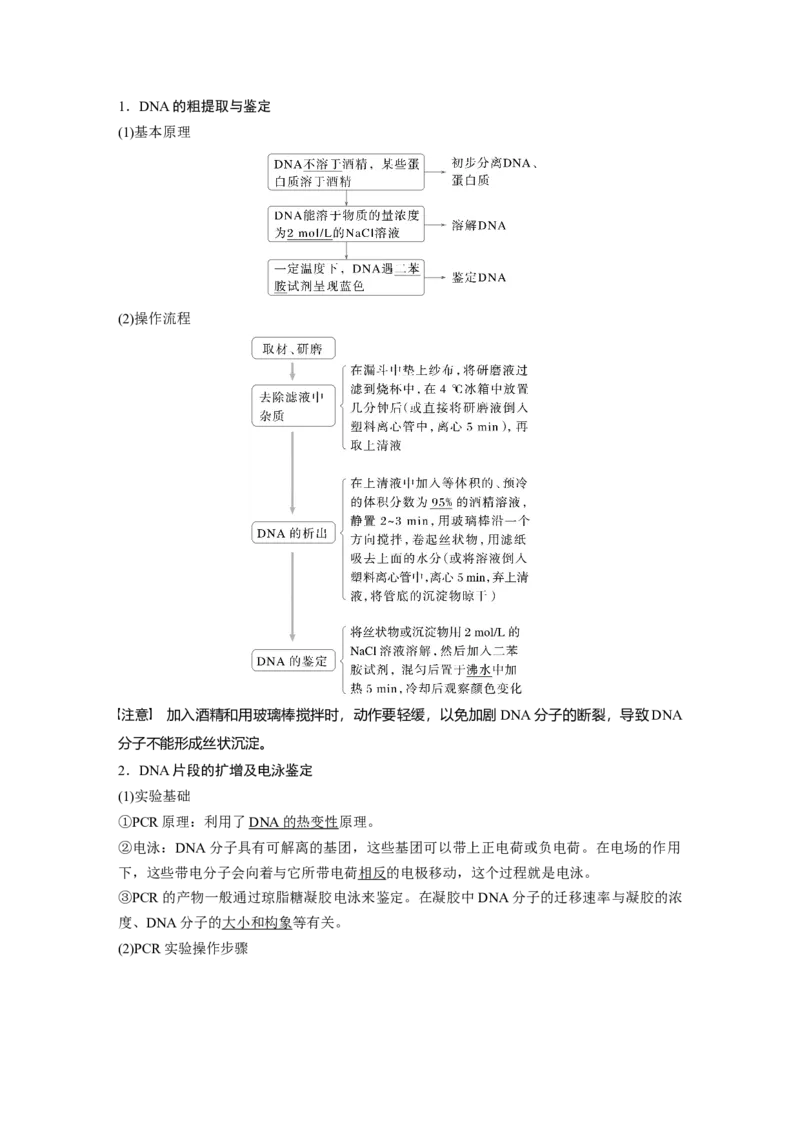 第十单元　第62课时　基因工程的应用、蛋白质工程、DNA的两个重要实验_新高考复习资料_2025年新高考资料_2025新高考一轮复习生物_配套Word版文档第七~十单元