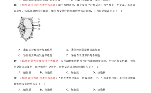 专题02细胞是生命活动的基本单位（原卷版）_6生物中考复习_2024年中考复习资料_一轮复习资料_❤备战2024年中考生物一轮复习考点帮（全国通用）_配套练习（原卷版+解析版）