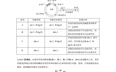 第十单元　课时练61　基因工程的基本工具和基本操作程序_2025年新高考资料_一轮复习_2025大一轮复习讲义+课件（完结）_2025大一轮复习讲义生物学生用书Word版文档整书