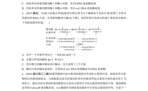 第十单元　课时练61　基因工程的基本工具和基本操作程序_2025年新高考资料_一轮复习_2025大一轮复习讲义+课件（完结）_2025大一轮复习讲义生物学生用书Word版文档整书