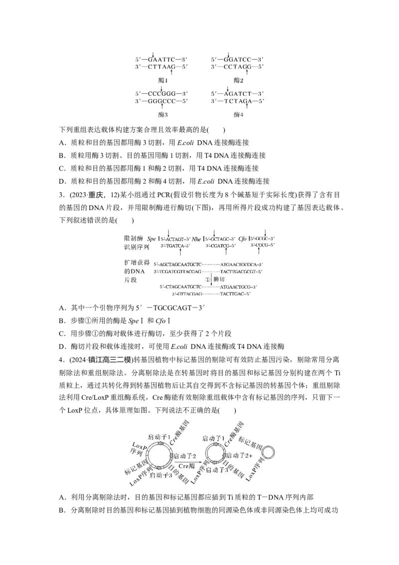 第十单元　课时练61　基因工程的基本工具和基本操作程序_2025年新高考资料_一轮复习_2025大一轮复习讲义+课件（完结）_2025大一轮复习讲义生物学生用书Word版文档整书
