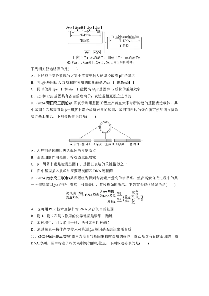 第十单元　课时练61　基因工程的基本工具和基本操作程序_2025年新高考资料_一轮复习_2025大一轮复习讲义+课件（完结）_2025大一轮复习讲义生物学生用书Word版文档整书