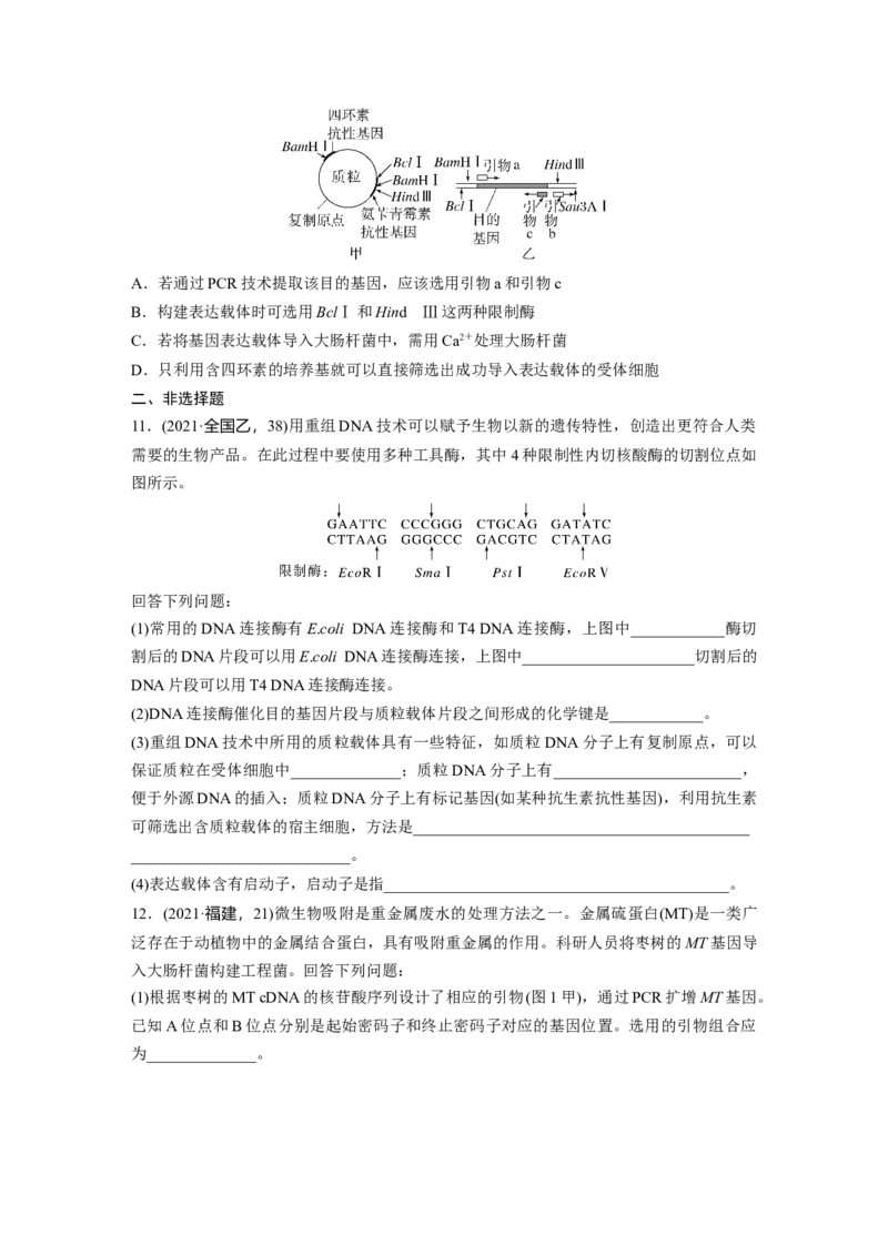第十单元　课时练61　基因工程的基本工具和基本操作程序_2025年新高考资料_一轮复习_2025大一轮复习讲义+课件（完结）_2025大一轮复习讲义生物学生用书Word版文档整书