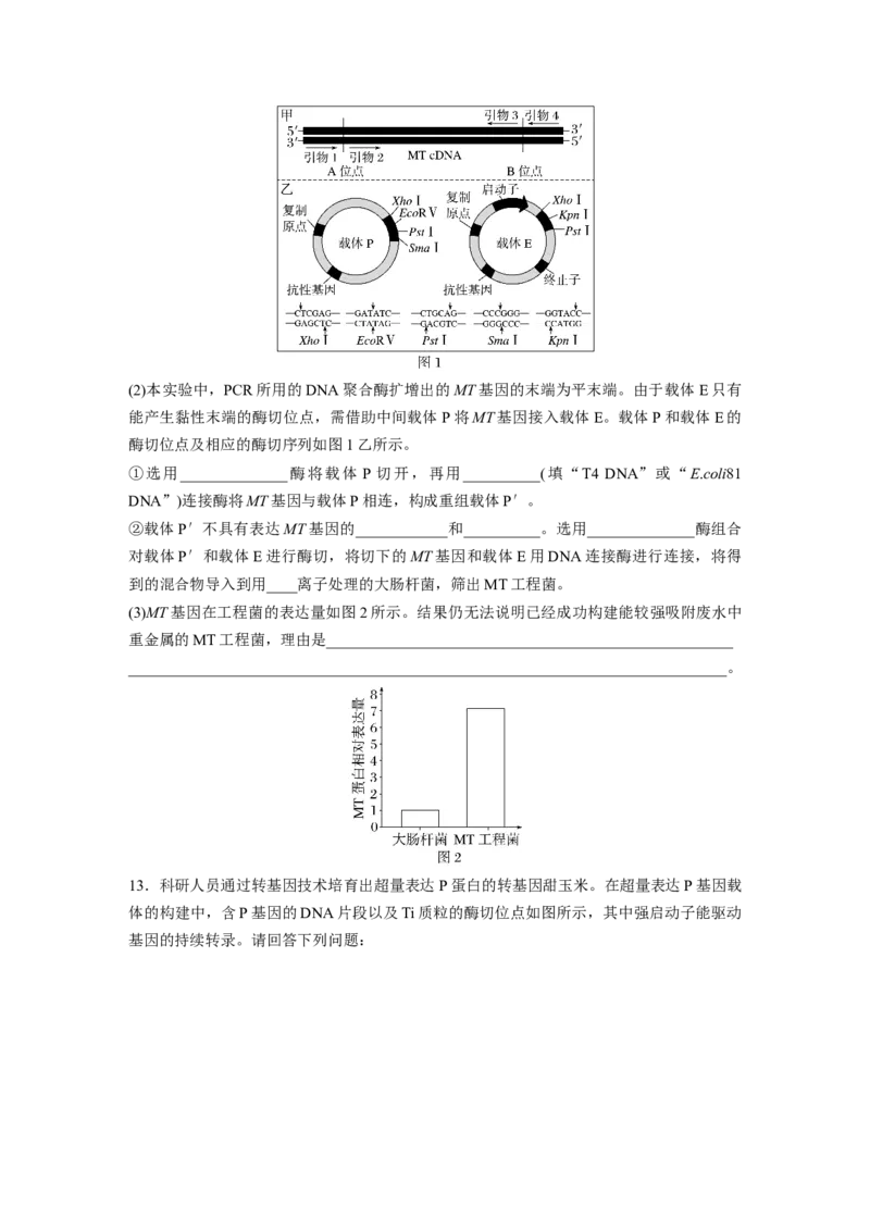 第十单元　课时练61　基因工程的基本工具和基本操作程序_2025年新高考资料_一轮复习_2025大一轮复习讲义+课件（完结）_2025大一轮复习讲义生物学生用书Word版文档整书
