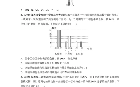第四单元　专题突破4减数分裂与可遗传变异的关系_2025年新高考资料_一轮复习_2025大一轮复习讲义+课件（完结）_2025大一轮复习讲义生物学生用书Word版文档整书_2025一轮复习73练