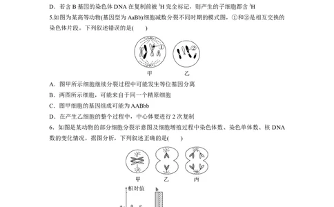 第四单元　专题突破4减数分裂与可遗传变异的关系_2025年新高考资料_一轮复习_2025大一轮复习讲义+课件（完结）_2025大一轮复习讲义生物学生用书Word版文档整书_2025一轮复习73练