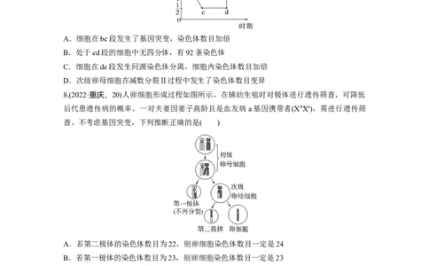 第四单元　专题突破4减数分裂与可遗传变异的关系_2025年新高考资料_一轮复习_2025大一轮复习讲义+课件（完结）_2025大一轮复习讲义生物学生用书Word版文档整书_2025一轮复习73练