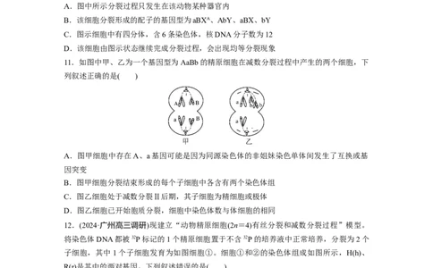 第四单元　专题突破4减数分裂与可遗传变异的关系_2025年新高考资料_一轮复习_2025大一轮复习讲义+课件（完结）_2025大一轮复习讲义生物学生用书Word版文档整书_2025一轮复习73练