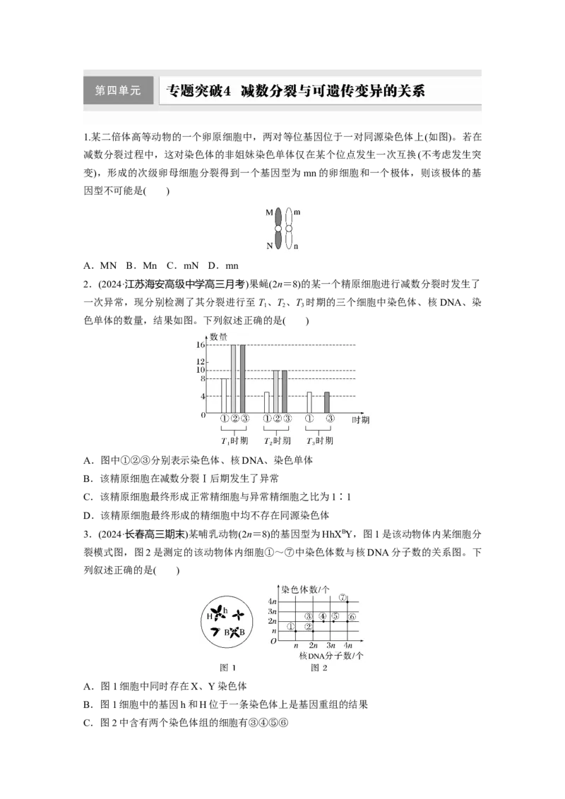 第四单元　专题突破4减数分裂与可遗传变异的关系_2025年新高考资料_一轮复习_2025大一轮复习讲义+课件（完结）_2025大一轮复习讲义生物学生用书Word版文档整书_2025一轮复习73练