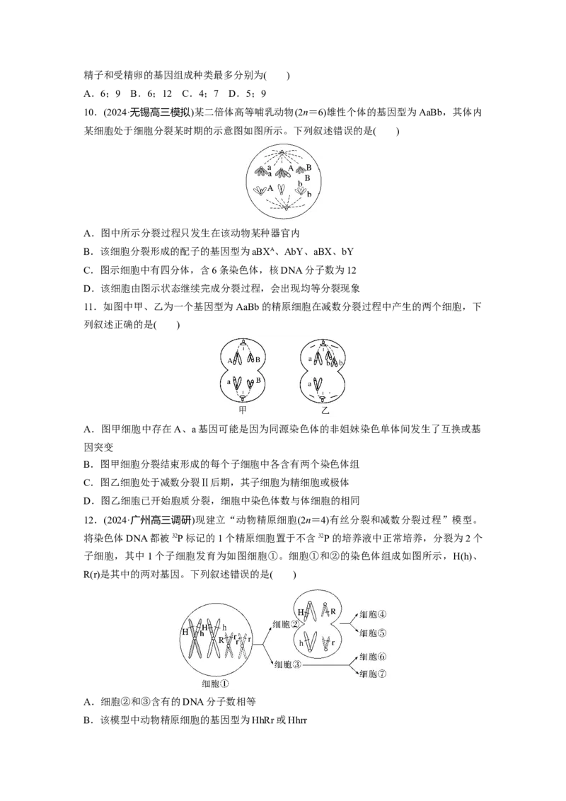 第四单元　专题突破4减数分裂与可遗传变异的关系_2025年新高考资料_一轮复习_2025大一轮复习讲义+课件（完结）_2025大一轮复习讲义生物学生用书Word版文档整书_2025一轮复习73练