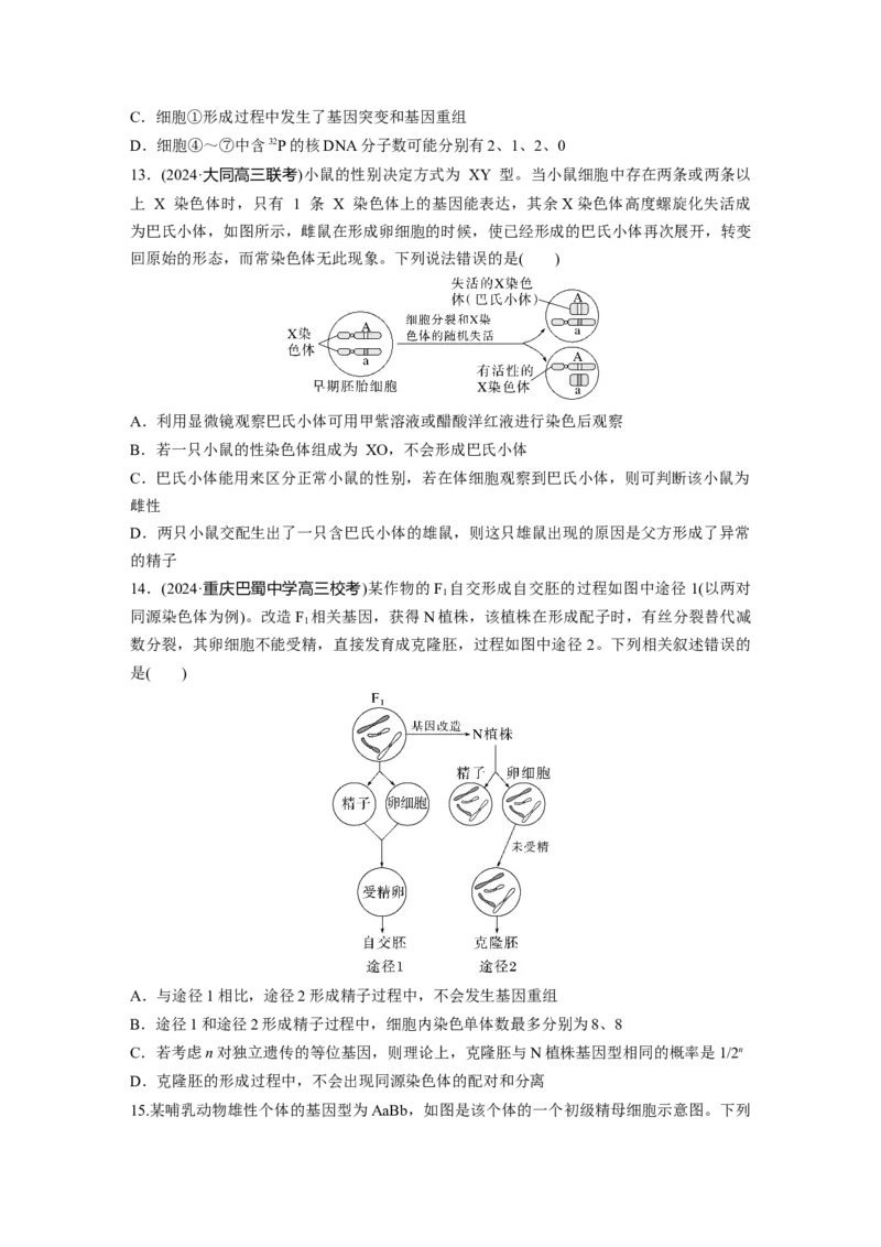 第四单元　专题突破4减数分裂与可遗传变异的关系_2025年新高考资料_一轮复习_2025大一轮复习讲义+课件（完结）_2025大一轮复习讲义生物学生用书Word版文档整书_2025一轮复习73练