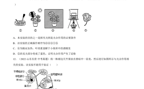 专题05绿色植物的蒸腾作用、光合作用和呼吸作用（习题帮）（原卷版）_6生物中考复习_2023年中考复习资料_一轮复习_备战2023年中考生物一轮复习考点帮（全国通用）288506454