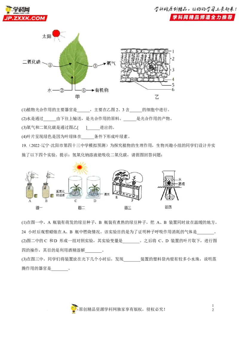 专题05绿色植物的蒸腾作用、光合作用和呼吸作用（习题帮）（原卷版）_6生物中考复习_2023年中考复习资料_一轮复习_备战2023年中考生物一轮复习考点帮（全国通用）288506454