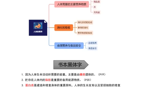 专题07人体的营养-备战2023年中考生物核心考点梳理与必背_6生物中考复习_2023年中考复习资料_专项复习_备战2023年中考生物核心考点梳理与必背
